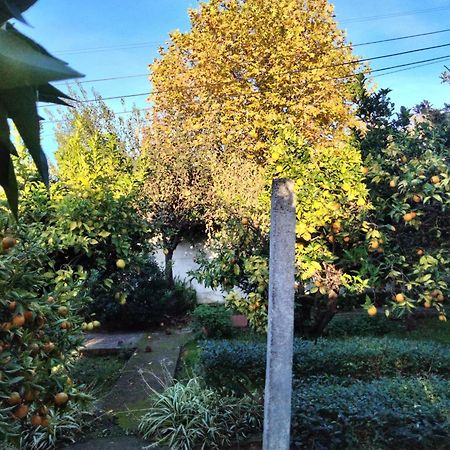 Casa Xantarim Bed & Breakfast Santarém Екстериор снимка